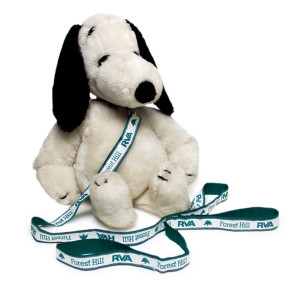 Pet leash