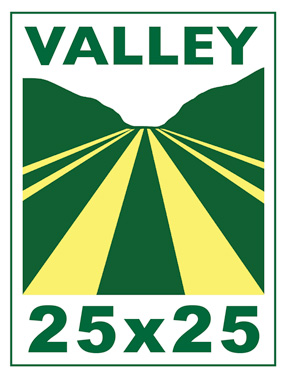 Valley 25 X 25